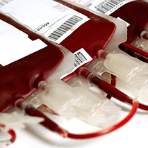 Doação de Sangue – reapresentação