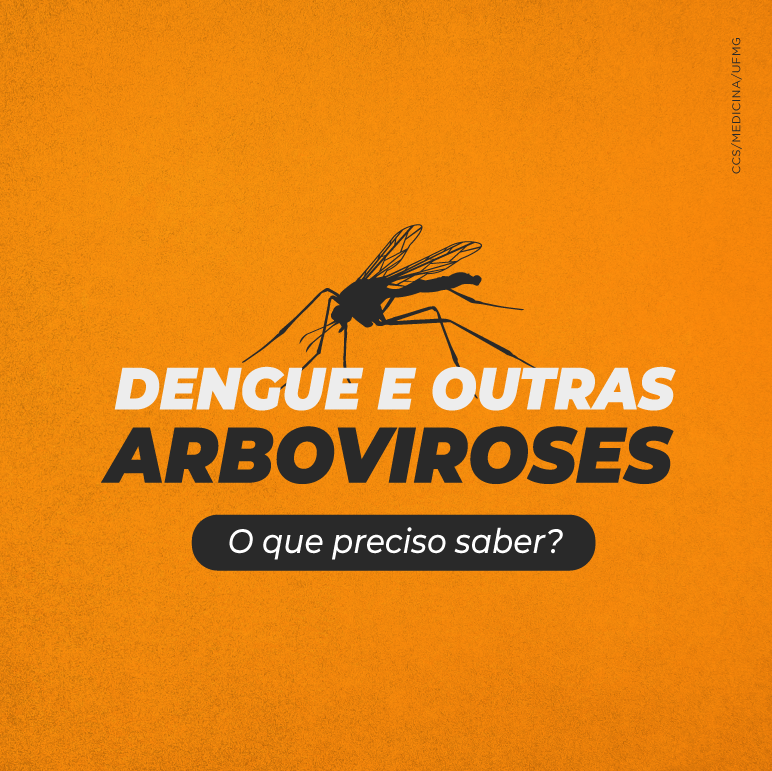 Dengue e outras arboviroses – reapresentação