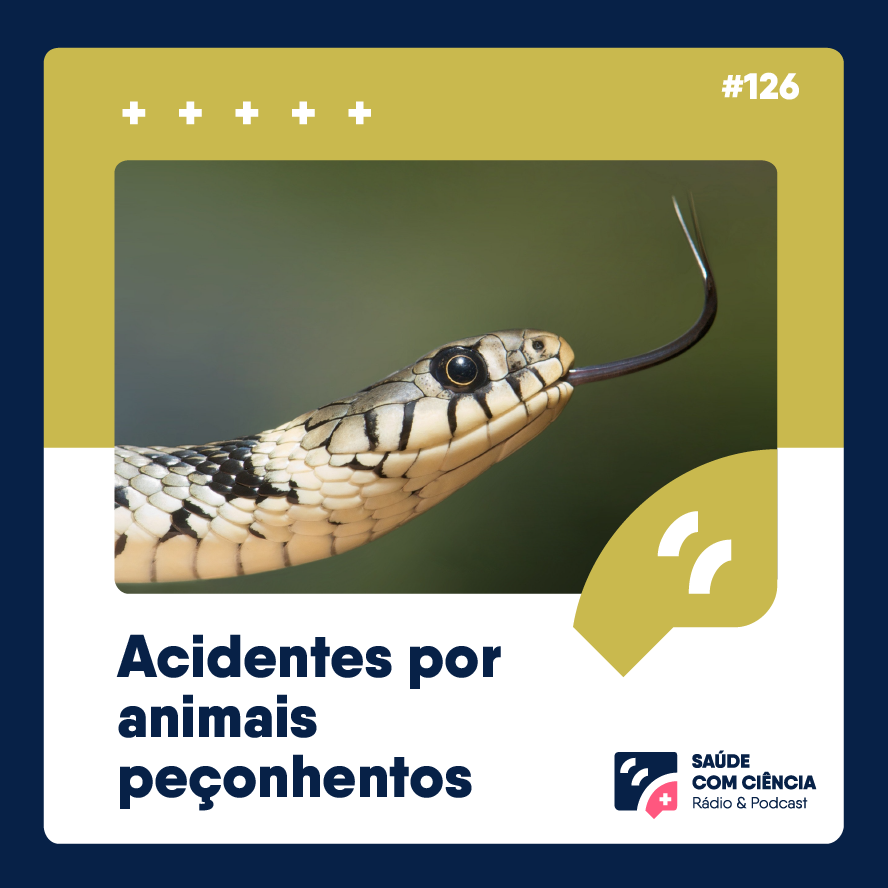 Acidentes por animais peçonhentos