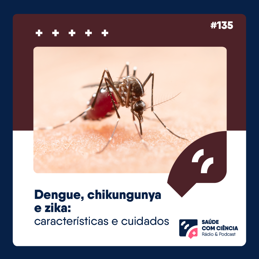 Dengue, chikungunya e zika: características e cuidados