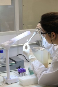 Processo de extração de DNA de amostra de sangue realizado no LGBM. Foto: Bruna Carvalho
