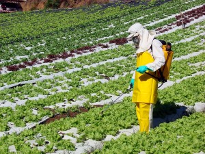 Brasil lidera ranking do consumo de agrotóxicos. Foto: Reprodução