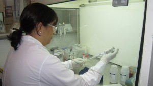 Laboratório do Nupad realiza análise para detecção do Zica vírus. Foto: Rafaella Arruda.