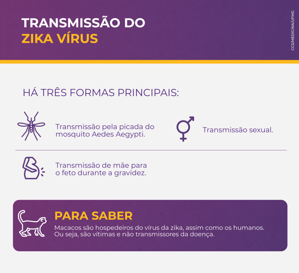 Há três formas principais de transmissão do zika vírus